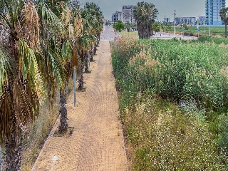 Suelo urbano en C/ Benidorm - Moncofa - Castellón 25