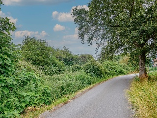 Suelo urbanizable sectorizado en Oviedo 6