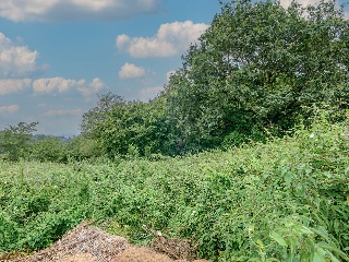 Suelo urbanizable sectorizado en Oviedo 10
