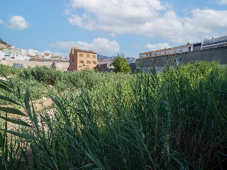 Solares en Ronda Murallas 20
