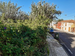 Suelo urbano en C/ Calvario - Tacoronte - 16