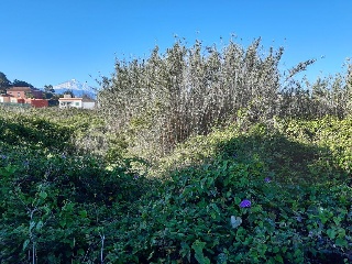 Suelo urbano en C/ Calvario - Tacoronte - 17