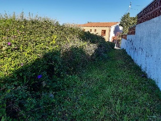 Suelo urbano en C/ Calvario - Tacoronte - 18