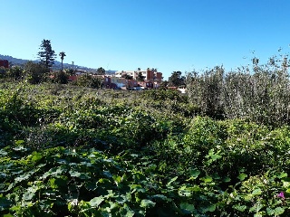 Suelo urbano en C/ Calvario - Tacoronte - 19