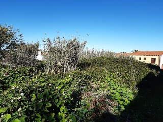 Suelo urbano en C/ Calvario - Tacoronte - 20