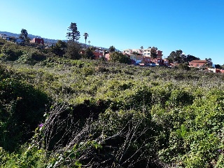 Suelo urbano en C/ Calvario - Tacoronte - 21