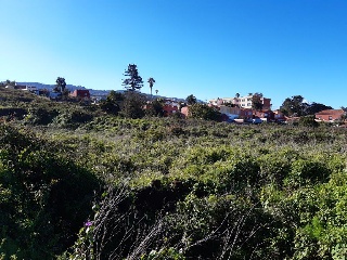 Suelo urbano en C/ Calvario - Tacoronte - 23