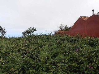 Suelo urbano en C/ Calvario - Tacoronte - 24