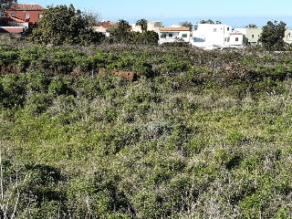 Suelo urbano en C/ Calvario - Tacoronte - 25