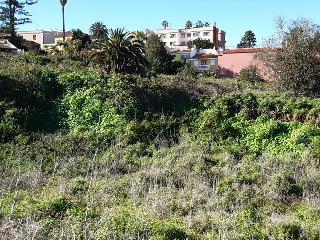 Suelo urbano en C/ Calvario - Tacoronte - 26