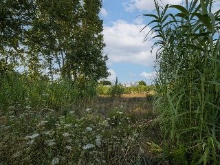 Suelo urbano consolidado en Dénia - Alicante - 14