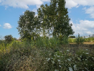 Suelo urbano consolidado en Dénia - Alicante - 15