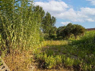 Suelo urbano consolidado en Dénia - Alicante - 20