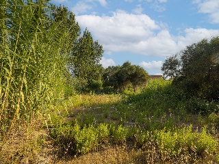 Suelo urbano consolidado en Dénia - Alicante - 24