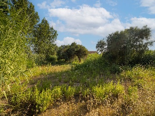 Suelo urbano consolidado en Dénia - Alicante - 25