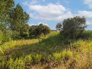 Suelo urbano consolidado en Dénia - Alicante - 26