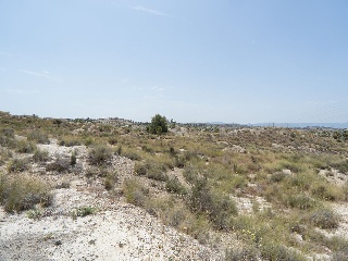 Solar en Ur Altorreal 20