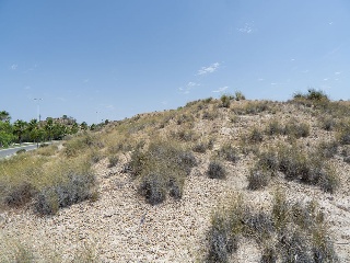 Solar en Ur Altorreal 21