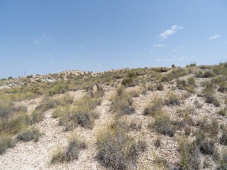 Suelo urbano consolidado en Pt Av Golf 171 - Urb Altorreal -  Molina de Segura 29