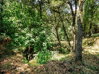 Suelo urbano consolidado en Navata - Girona - 16