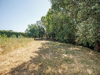 Suelo urbano consolidado en Navata - Girona - 23