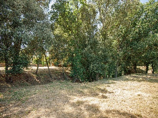 Suelo urbano consolidado en Navata - Girona - 25