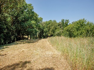 Suelo urbano consolidado en Navata - Girona - 26