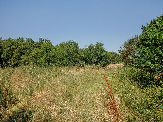 Suelo urbano consolidado en Navata - Girona - 27