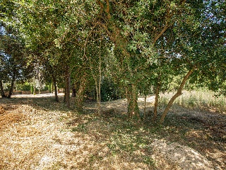 Suelo urbano consolidado en Navata - Girona - 30