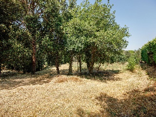 Suelo urbano consolidado en Navata - Girona - 34