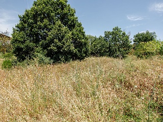 Solar en c/ Puig Negre, Forallac, Girona 13
