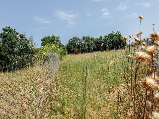 Solar en c/ Puig Negre, Forallac, Girona 14