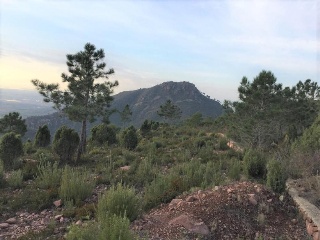 Suelo rústico en C/ Les Canteres, Benicasim (Castellón) 9