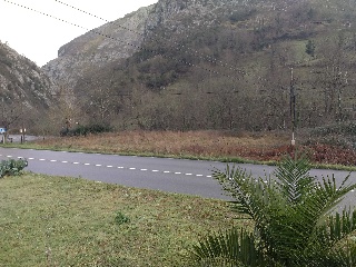 Suelo en Finca Las Mazas 2