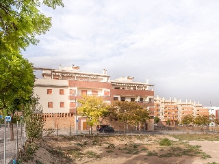 Promoción de garjes en Pablo García Baena - Joan Margarit 6