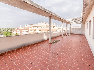 Promoción de garjes en Pablo García Baena - Joan Margarit 17