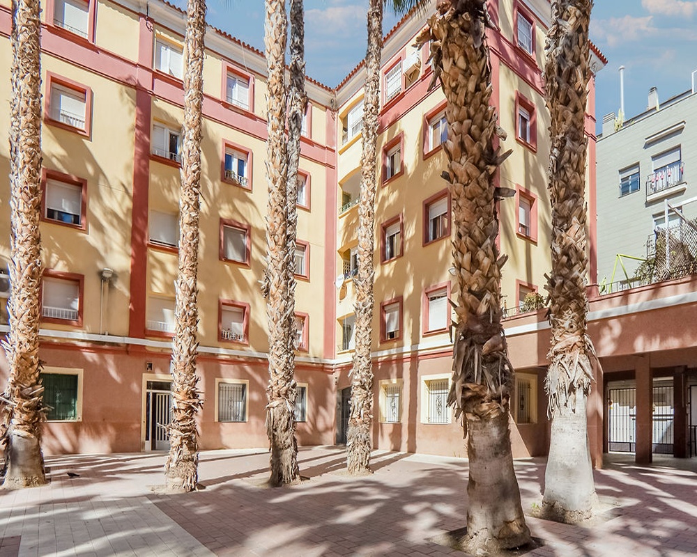 Piso en Pz de Las Palmeras - Murcia -