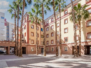 Piso en Pz de Las Palmeras - Murcia - 17