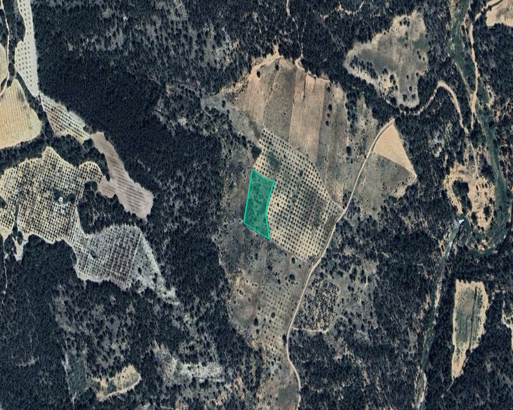 Suelo rústico en Partida Casa Lázaro