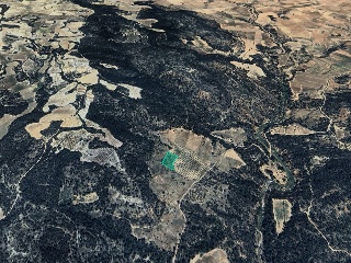 Suelo rústico en Partida Casa Lázaro 3