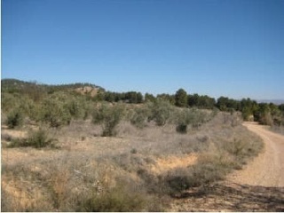 Suelo rústico en Partida Casa Lázaro 6