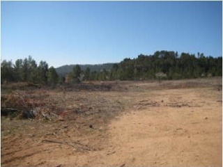 Suelo rústico en Partida Casa Lázaro 7