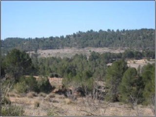 Suelo rústico en Partida Casa Lázaro 8