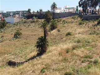 Suelo rústico en Arucas (Las Palmas) 6