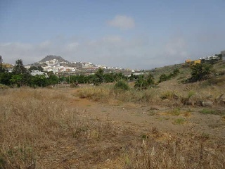 Suelo rústico en Arucas (Las Palmas) 7
