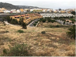 Suelo rústico en Arucas (Las Palmas) 8