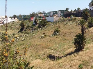 Suelo rústico en Arucas (Las Palmas) 9