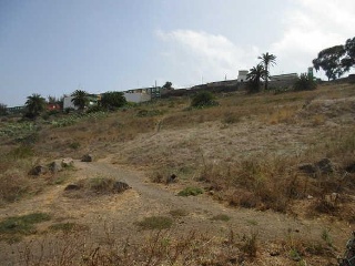 Suelo rústico en Arucas (Las Palmas) 14