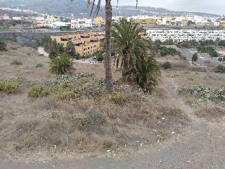 Suelo rústico en Arucas (Las Palmas) 20