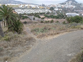 Suelo rústico en Arucas (Las Palmas) 22